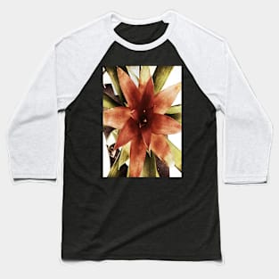 Star Plant Baseball T-Shirt